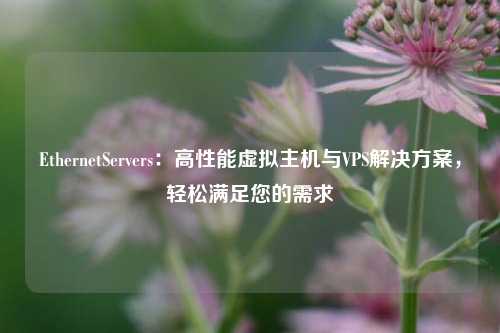 EthernetServers：高性能虛擬主機(jī)與VPS解決方案，輕松滿足您的需求
